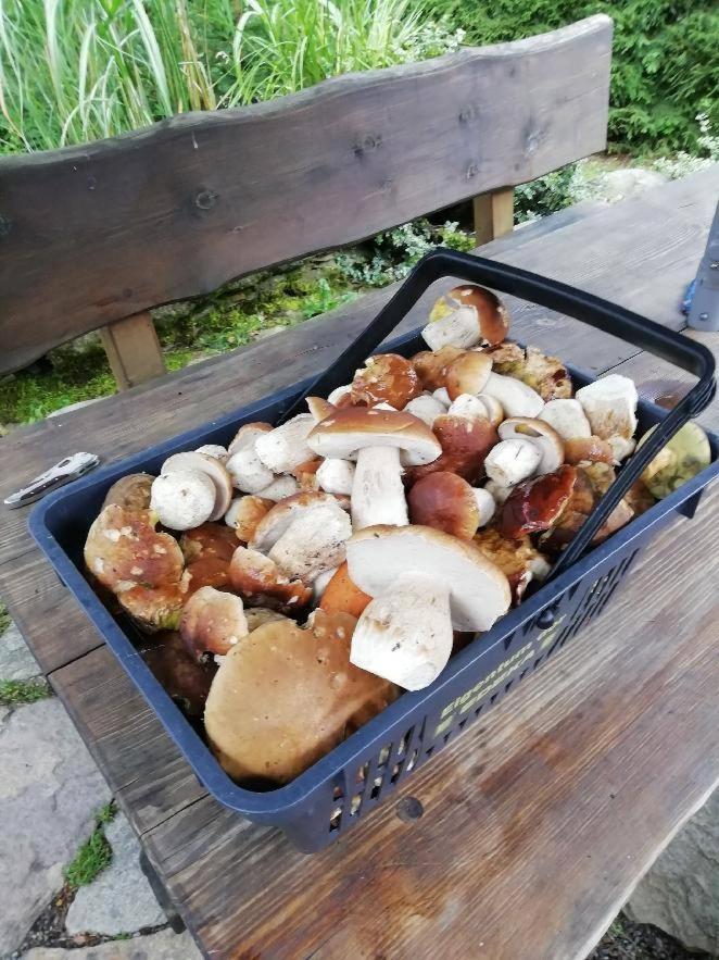 Chata Venda Lipno nad Vltavou Ngoại thất bức ảnh